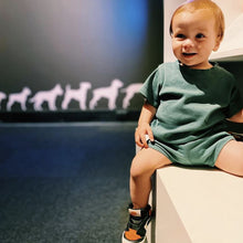 Load image into Gallery viewer, Retro Short Set